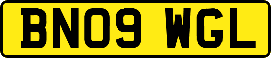 BN09WGL