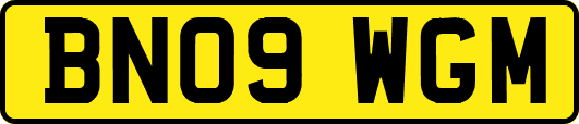BN09WGM
