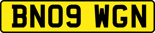 BN09WGN