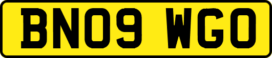 BN09WGO