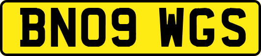 BN09WGS