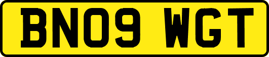 BN09WGT