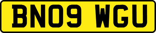 BN09WGU