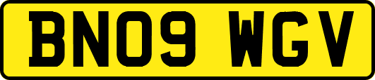 BN09WGV