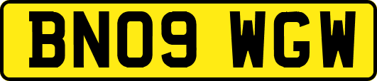 BN09WGW