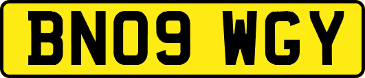BN09WGY