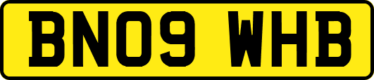 BN09WHB