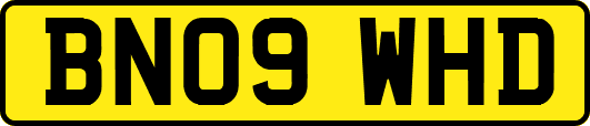 BN09WHD