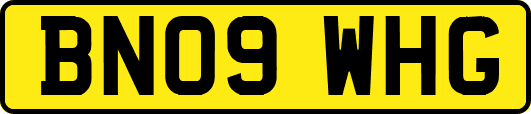 BN09WHG