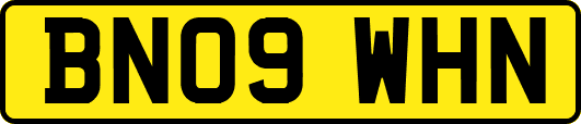 BN09WHN