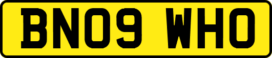 BN09WHO