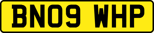 BN09WHP