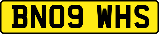BN09WHS