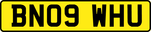 BN09WHU