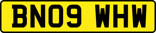 BN09WHW
