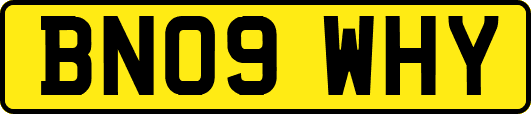 BN09WHY