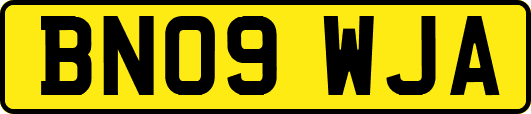 BN09WJA