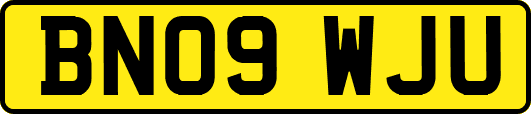 BN09WJU