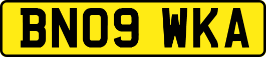 BN09WKA