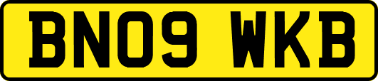 BN09WKB