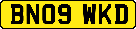 BN09WKD