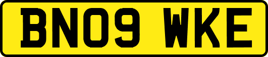 BN09WKE