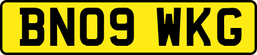 BN09WKG