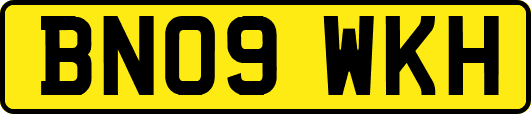BN09WKH