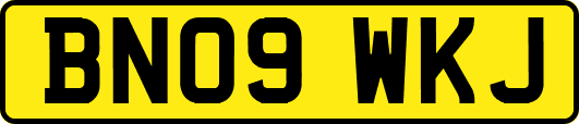 BN09WKJ