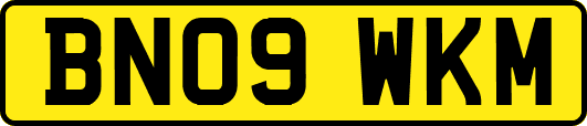 BN09WKM
