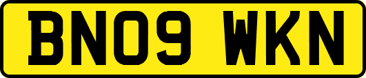 BN09WKN