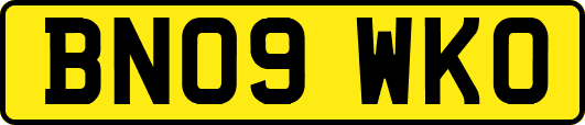 BN09WKO