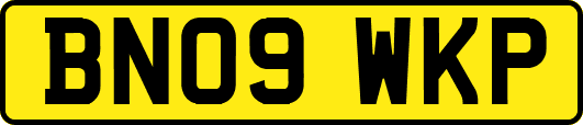 BN09WKP