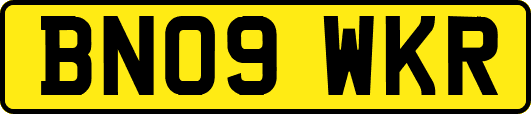 BN09WKR