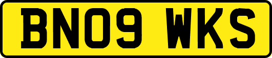 BN09WKS