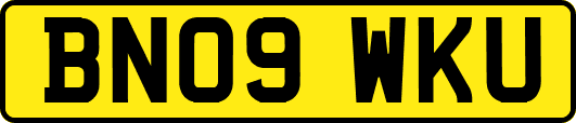 BN09WKU