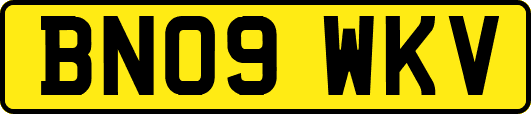 BN09WKV