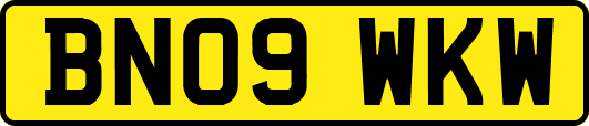 BN09WKW
