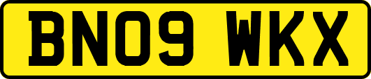 BN09WKX