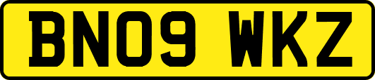 BN09WKZ