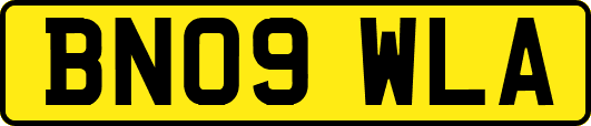 BN09WLA