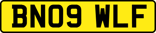 BN09WLF