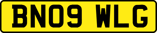 BN09WLG
