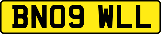 BN09WLL