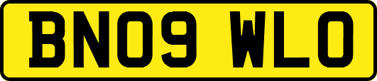 BN09WLO