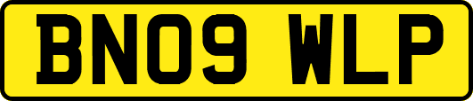 BN09WLP
