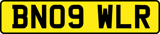 BN09WLR
