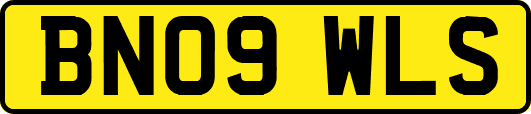 BN09WLS