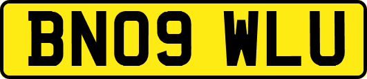 BN09WLU