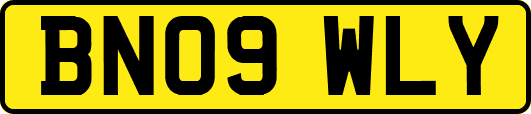 BN09WLY